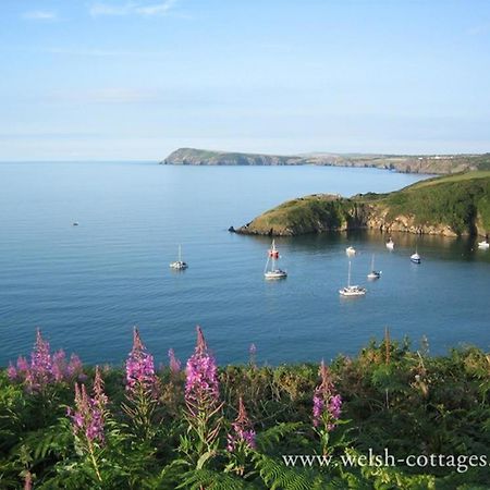Cwmbrandy Cottage Fishguard Extérieur photo