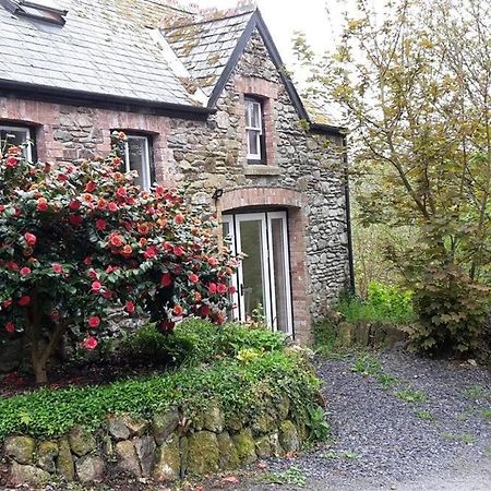 Cwmbrandy Cottage Fishguard Extérieur photo