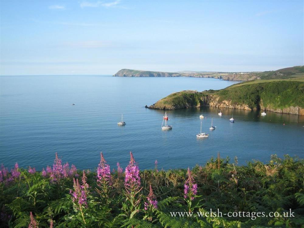 Cwmbrandy Cottage Fishguard Extérieur photo