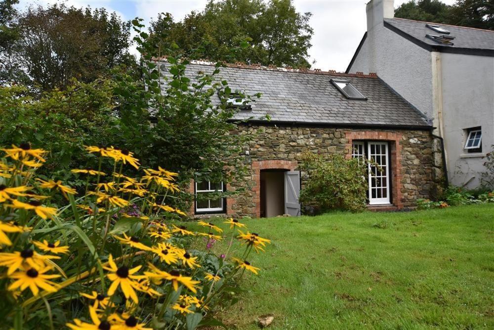 Cwmbrandy Cottage Fishguard Extérieur photo