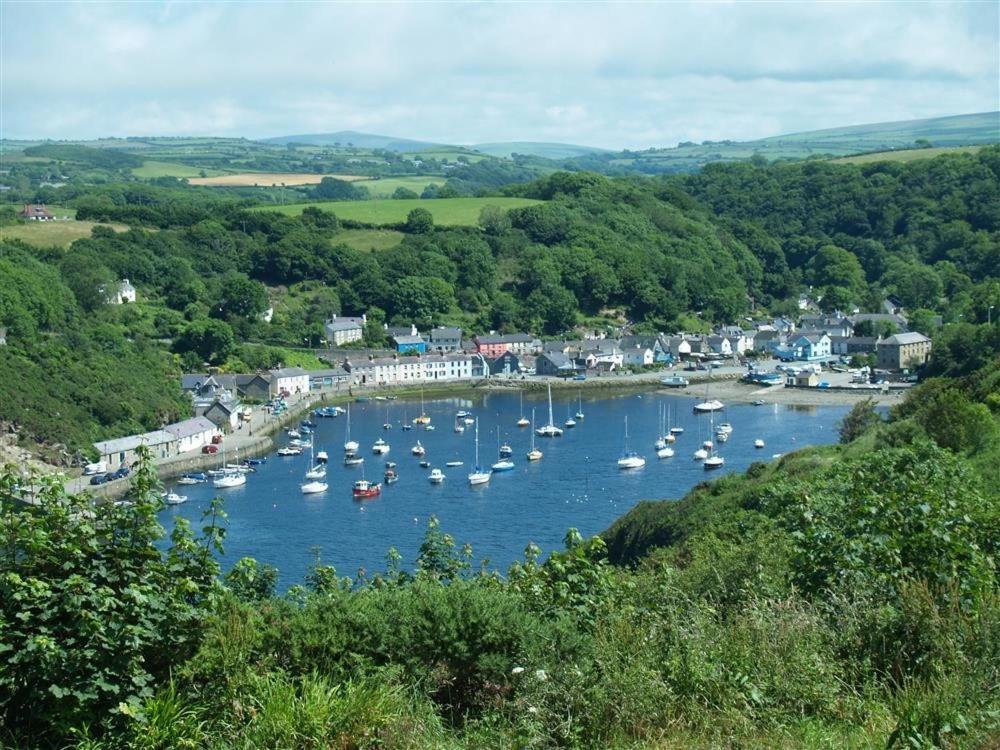 Cwmbrandy Cottage Fishguard Extérieur photo