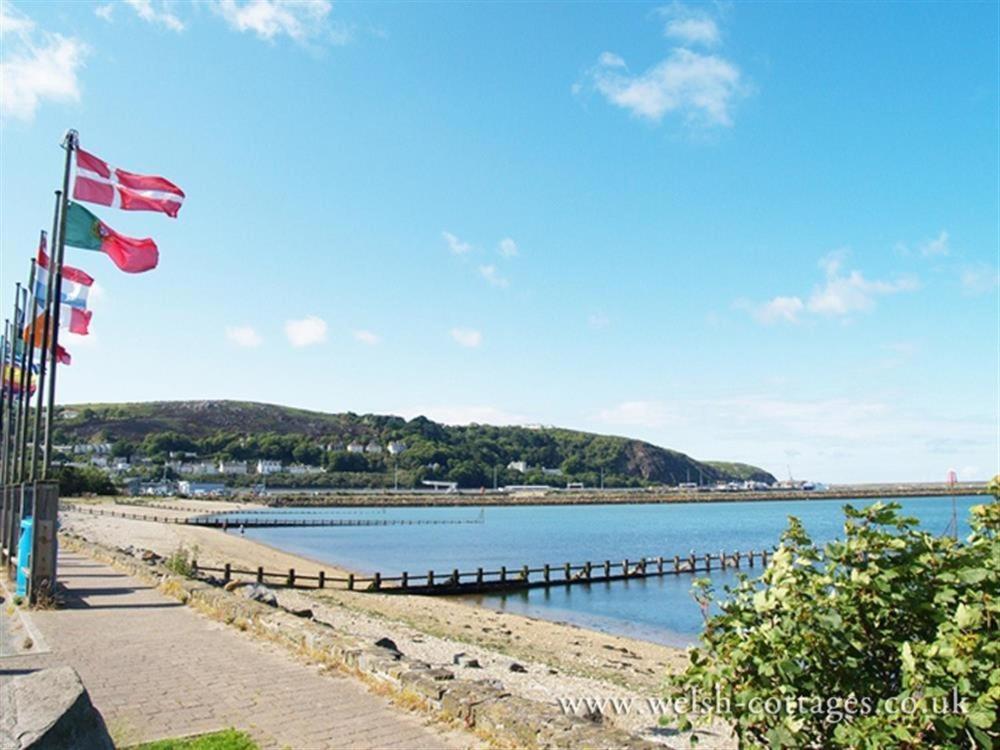 Cwmbrandy Cottage Fishguard Extérieur photo